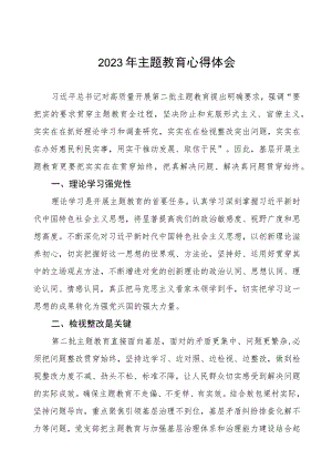 村党组织书记2023年主题教育心得体会十二篇.docx