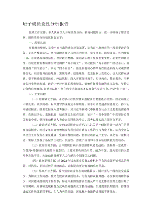 班子成员党性分析报告.docx