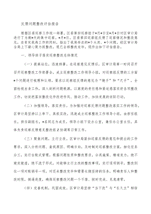反馈问题整改评估报告.docx