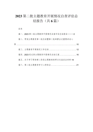 第二批专题开展情况自查评估总结报告（共6篇）.docx