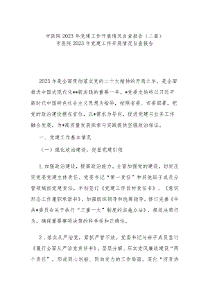 市医院2023年党建工作开展情况自查报告(二篇).docx
