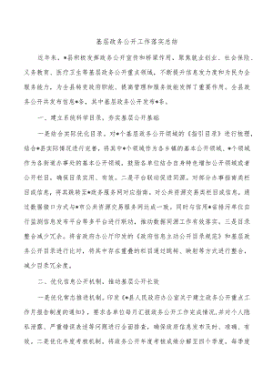 基层政务公开工作落实总结.docx