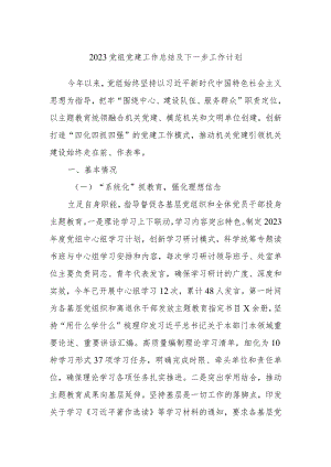 2023党组党建工作总结及下一步工作计划.docx