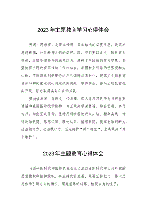 村党支部开展2023年第二批主题教育的心得体会五篇.docx