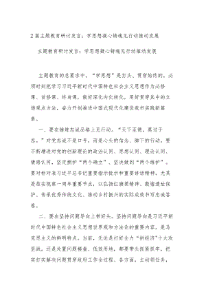 2篇主题教育研讨发言：学思想凝心铸魂 见行动推动发展.docx