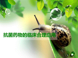 抗生素的临床合理应用幻灯片.ppt