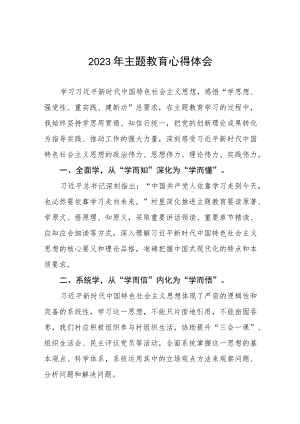 村支部书记关于2023年第二批主题教育的心得体会五篇.docx