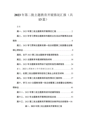 2023年第二批专题开展情况汇报13篇供参考.docx