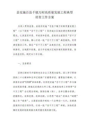 县实施百县千镇万村高质量发展工程典型培育工作方案.docx