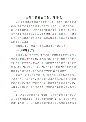 支部主题教育工作进展情况.docx