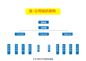 公司组织架构图.docx