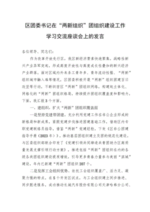 区团委书记在“两新组织”团组织建设工作学习交流座谈会上的发言.docx