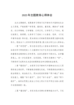 农村关于开展学习贯彻2023年第二批主题教育的心得体会(九篇).docx