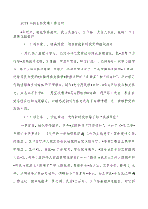 2023年抓基层党建工作述职.docx