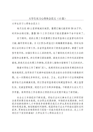 大学生实习心得体会范文(15篇).docx
