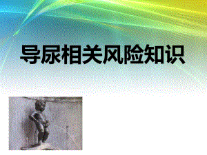 导尿的相关风险知识.ppt
