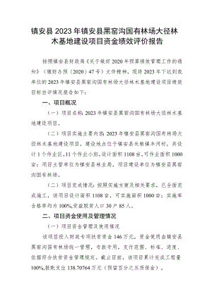 镇安县2023年镇安县黑窑沟国有林场大径林木基地建设项目资金绩效评价报告.docx