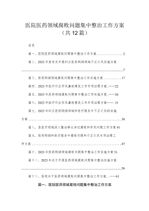 2023医院医药领域腐败问题集中整治工作方案(精选12篇合集).docx