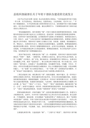 县组织部副部长关于年轻干部队伍建设的交流发言.docx
