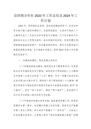 县供销合作社2023年工作总结及2024年工作计划.docx
