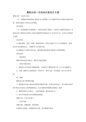 暑假大班一日活动方案范文5篇.docx