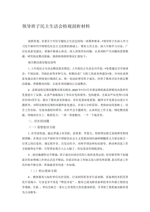 领导班子民主生活会检视剖析材料.docx
