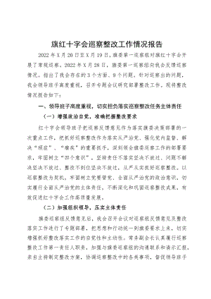 旗红十字会巡察整改工作情况报告.docx