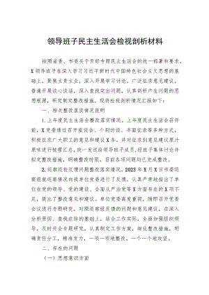 领导班子民主生活会检视剖析材料.docx