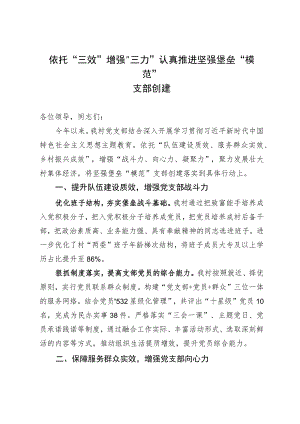 村支部书记在“模范”支部创建工作座谈会上的交流发言.docx