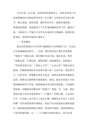 国土空间片区规划试点成果汇报.docx