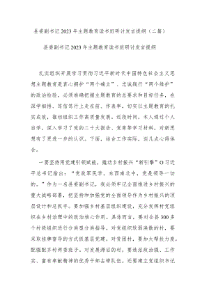 县委副书记2023年主题教育读书班研讨发言提纲(二篇).docx