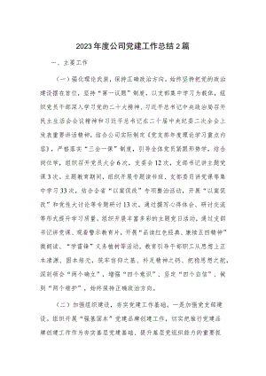 2023年度公司党建工作总结2篇.docx