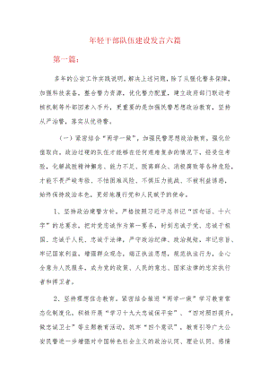 年轻干部队伍建设发言六篇.docx