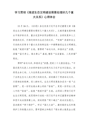 学习领悟《推进生态文明建设需要处理好几个重大关系》心得体会3篇.docx