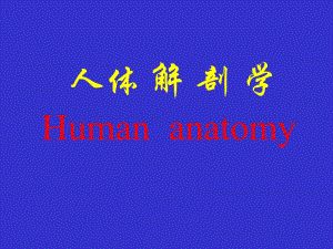 脉管系总论心 人体解剖学.ppt