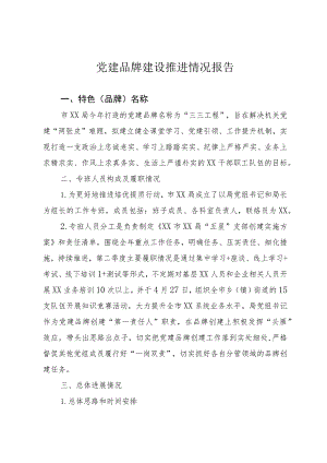 党建品牌建设推进情况报告.docx