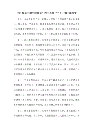 2023党员干部主题教育 四下基层 个人心得2篇范文.docx