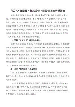 有关XX自治县“智慧城管”建设情况的调研报告.docx