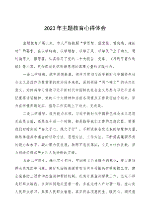 2023年镇纪检干部关于主题教育心得体会(九篇).docx