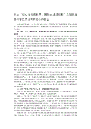参加“凝心铸魂强根基、团结奋进新征程”主题教育暨骨干盟员培训班的心得体会 .docx