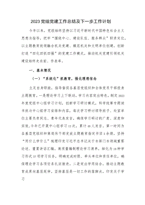 2023党组党建工作总结及下一步工作计划参考范文.docx