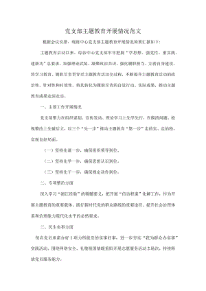 党支部主题教育开展情况范文.docx