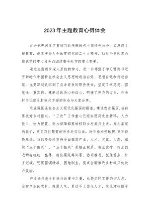 2023年村书记关于第二批主题教育心得体会(九篇).docx