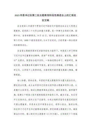 2023市委书记在第二批主题教育阶段性推进会上的汇报发言文稿.docx
