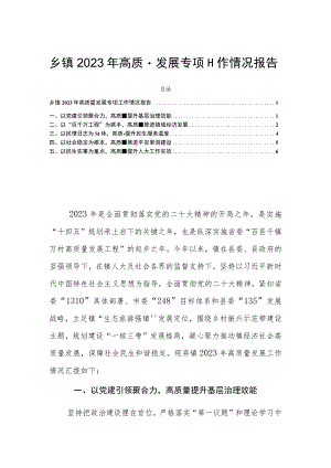 乡镇2023年高质量发展专项工作情况报告.docx