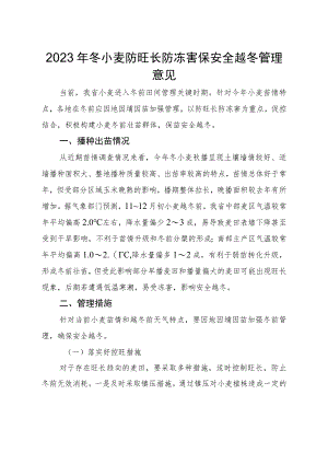 山西《2023年冬小麦防旺长防冻害保安全越冬管理意见》.docx