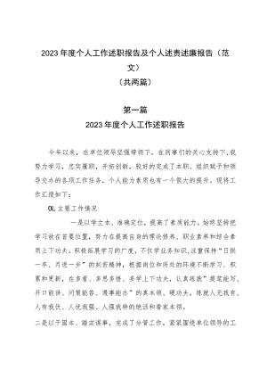 2023年度个人工作述职报告及个人述责述廉报告（范文）（共两篇）.docx