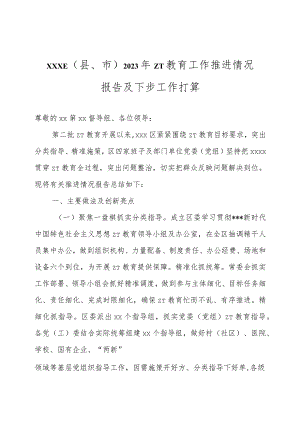 XXX区（县、市）2023年ZT教育工作推进情况报告及下步工作打算.docx