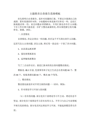 主题教育自查报告思路模板.docx