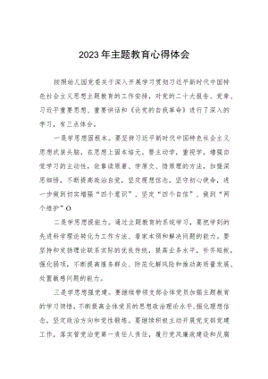 幼儿园园长2023年主题教育心得体会十篇.docx